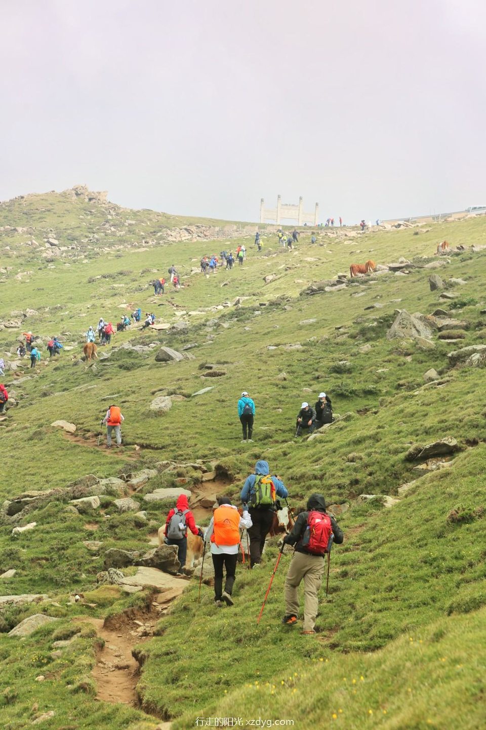 mmexport1687146063268_edit_132105950691819