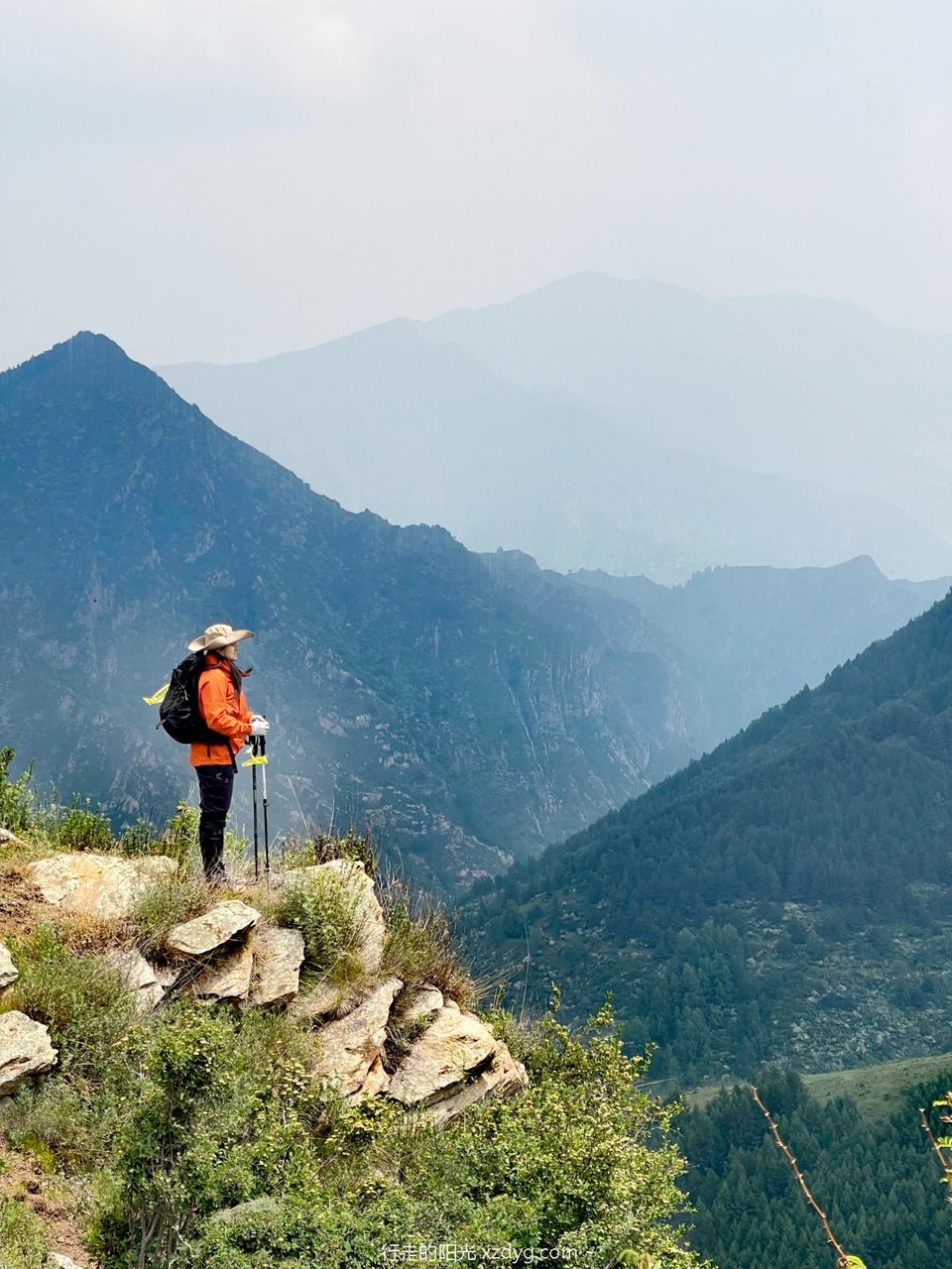 mmexport1687146239220_edit_132070323491825