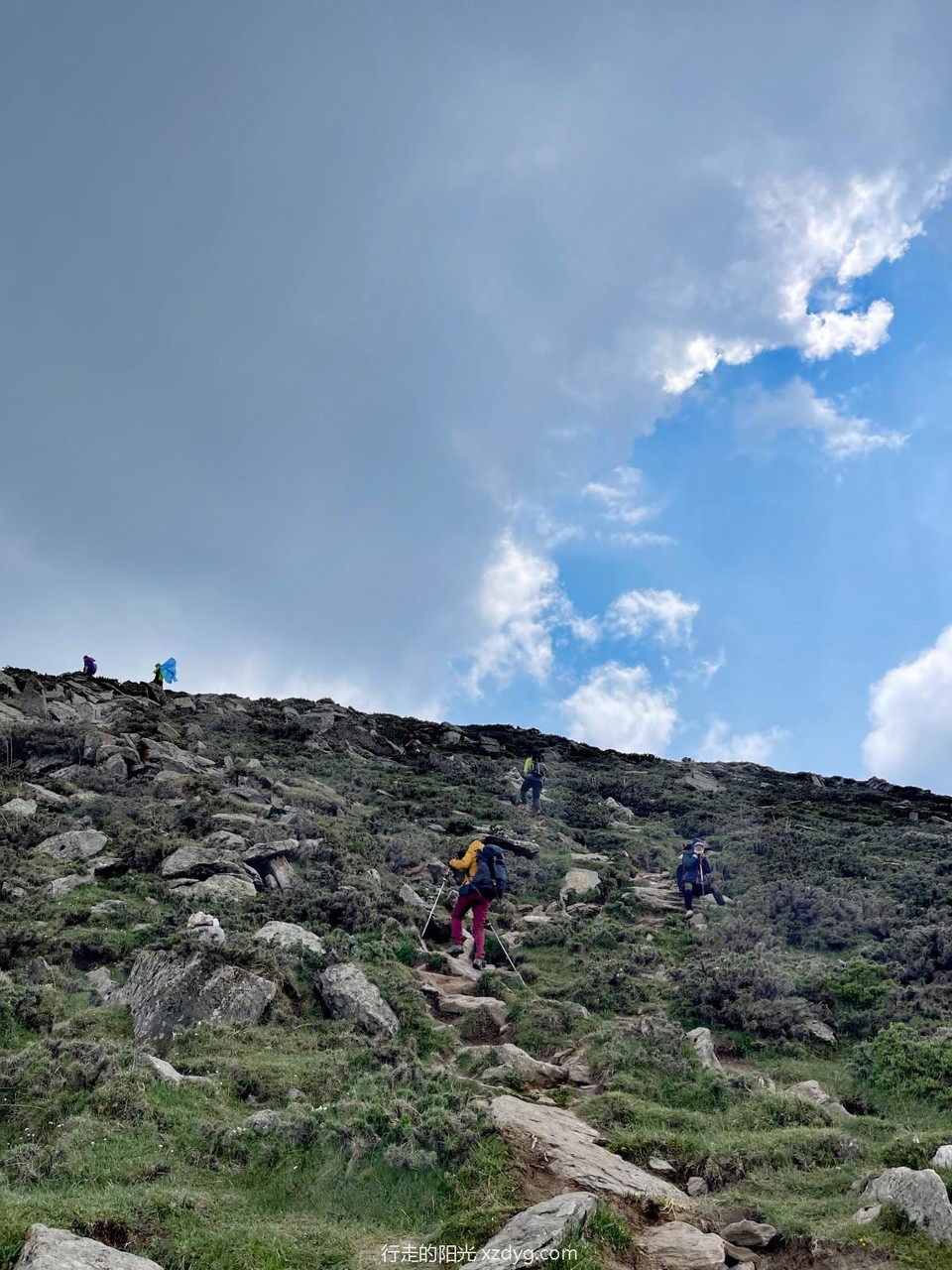 mmexport1687146438337_edit_131929759141325