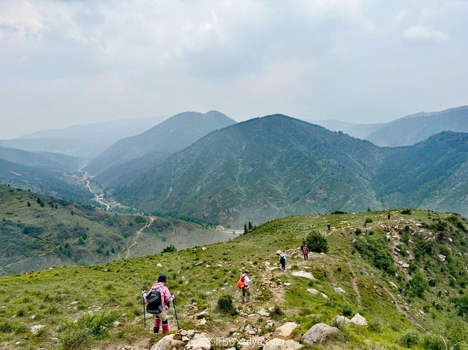 mmexport1687142544923_edit_128402966365301