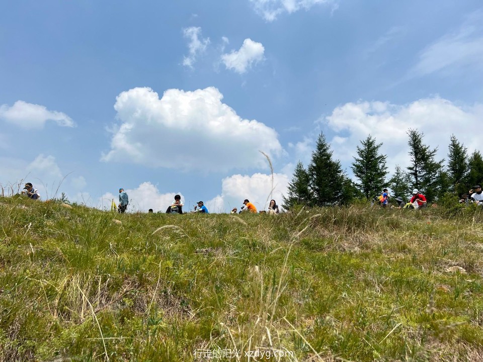 mmexport1687072022074_edit_99507791757731