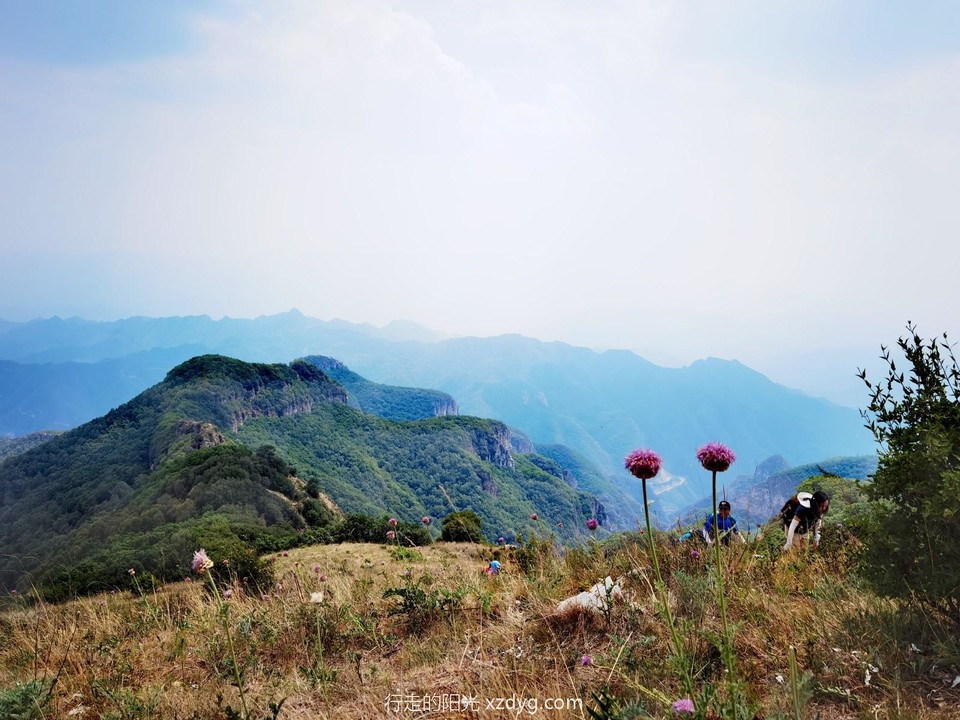 mmexport1687071964162_edit_99517034107209