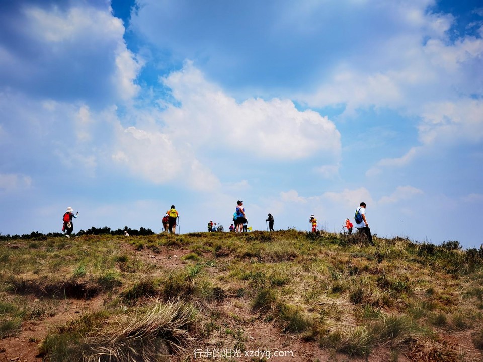 mmexport1687071919361_edit_99556474233244