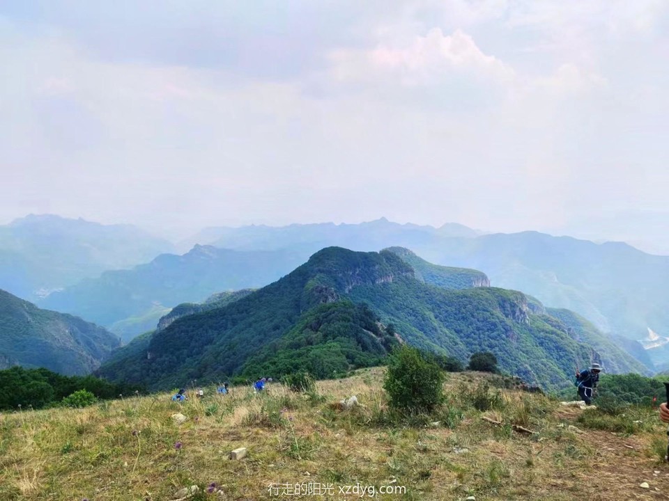 mmexport1687066876543_edit_99580196165532