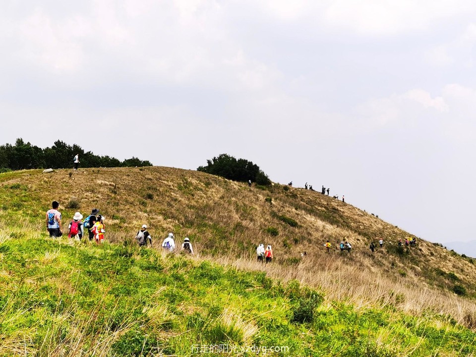 mmexport1687072127355_edit_99456721333780