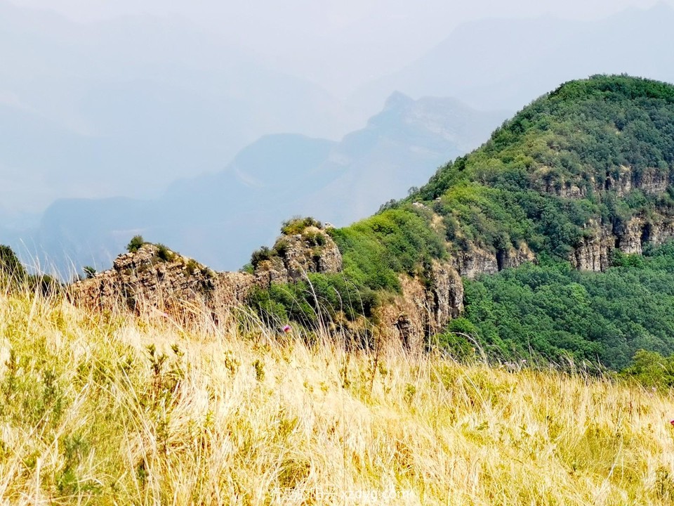 mmexport1687072138100_edit_99441822641074