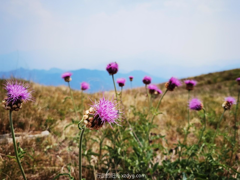 mmexport1687071933708