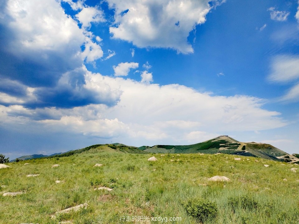 mmexport1687441175996_edit_286074728380305