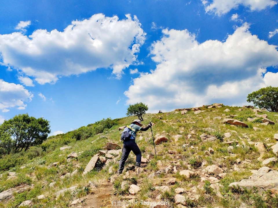 mmexport1687441184425_edit_286066750924056