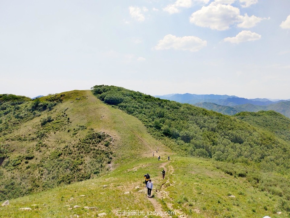 mmexport1687441205472_edit_286058323061036