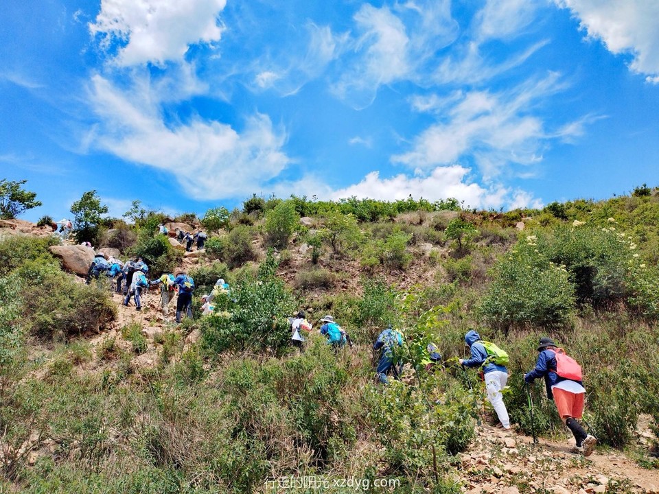 mmexport1687441219212_edit_286045423048538