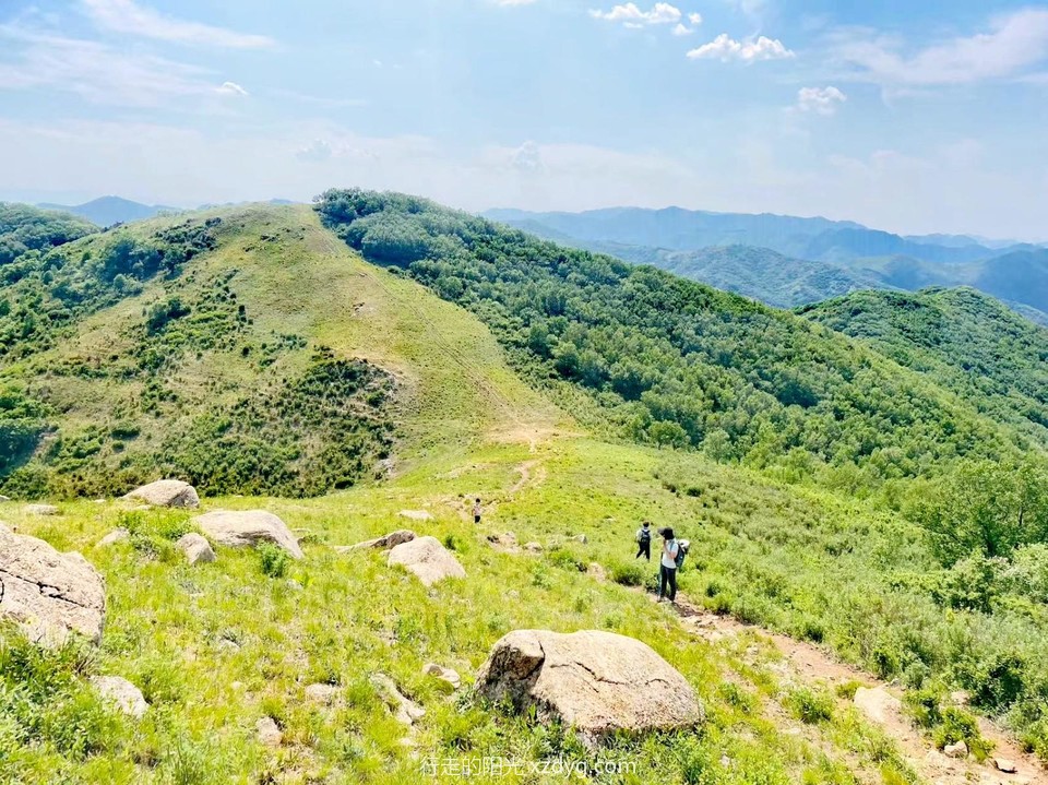 mmexport1687441268820_edit_286027766748541