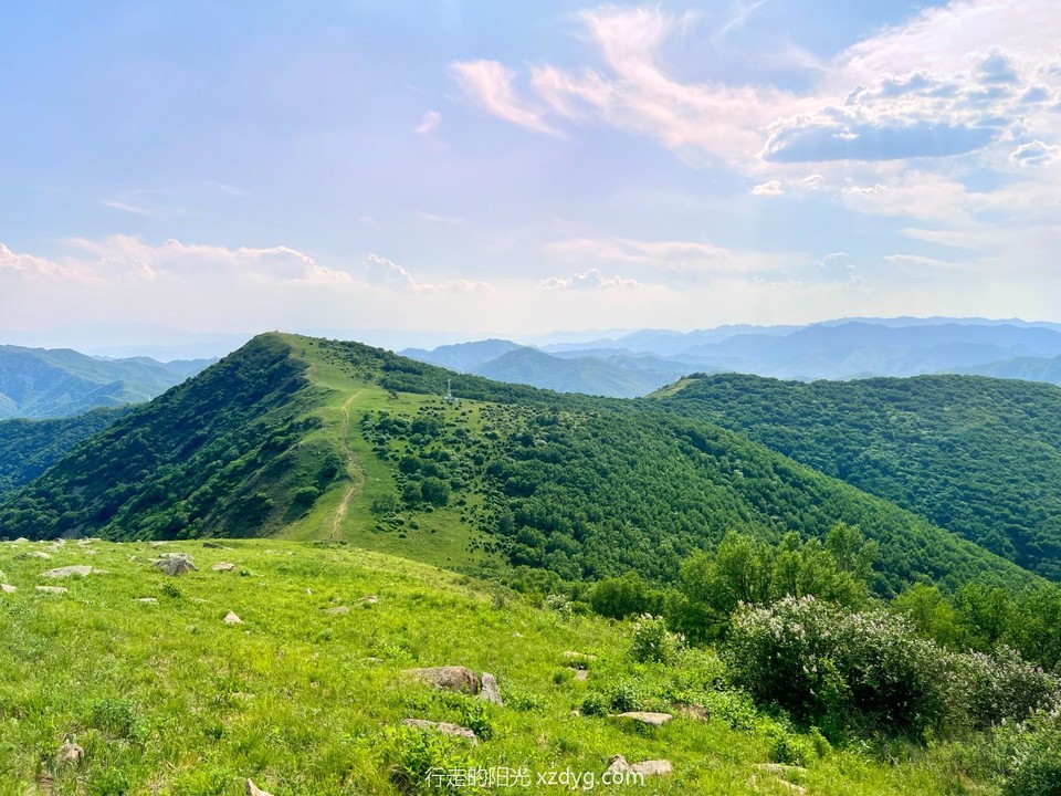 mmexport1687441297742_edit_286019438982396