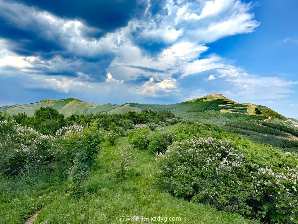 mmexport1687441307575_edit_286002897773024