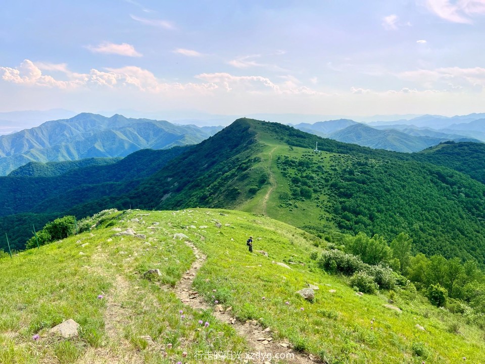 mmexport1687441316232_edit_285993978374588