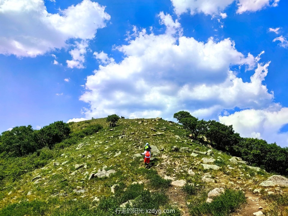 mmexport1687441360618_edit_285969125696987