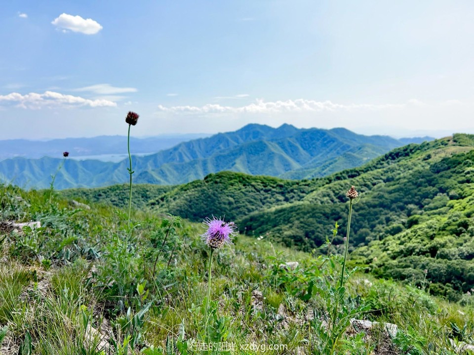 mmexport1687441389171_edit_285958700560010