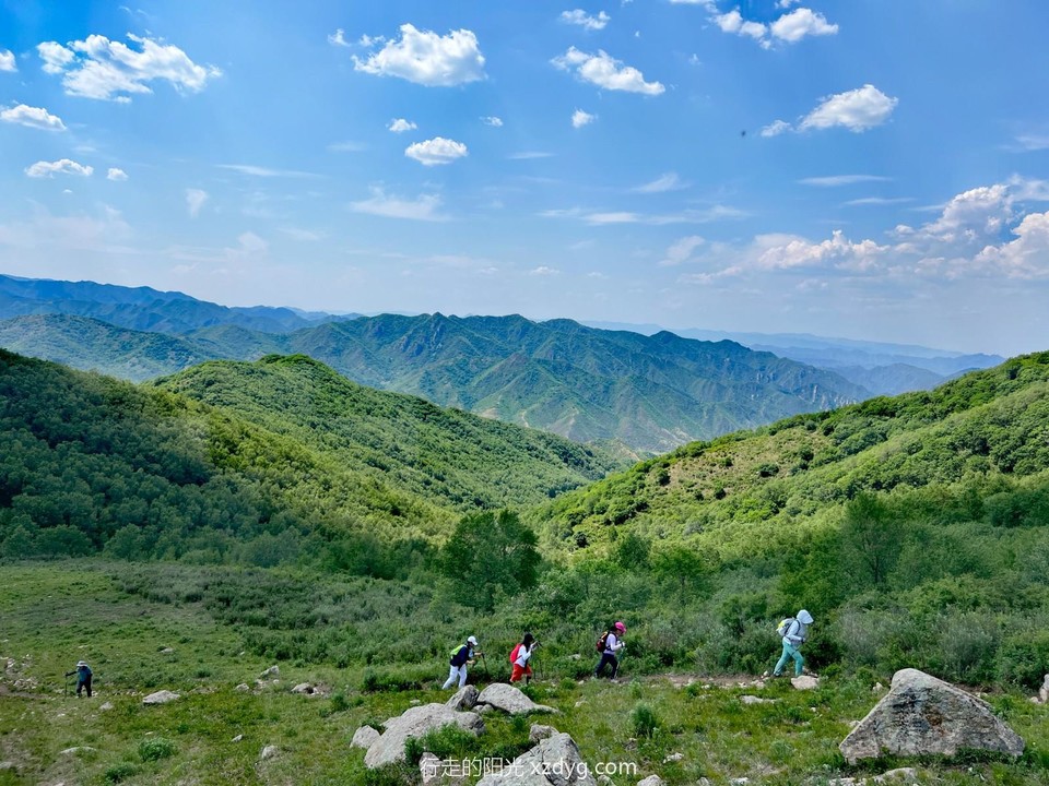 mmexport1687441403542_edit_285950225491782