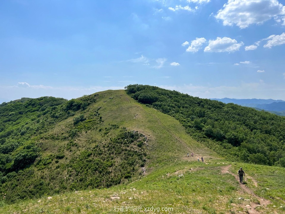 mmexport1687441430592_edit_285940846110013