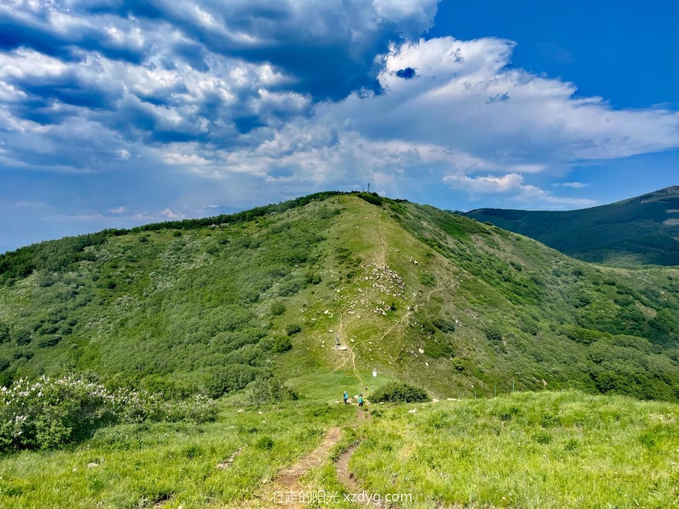 mmexport1687441455462_edit_285920045194391