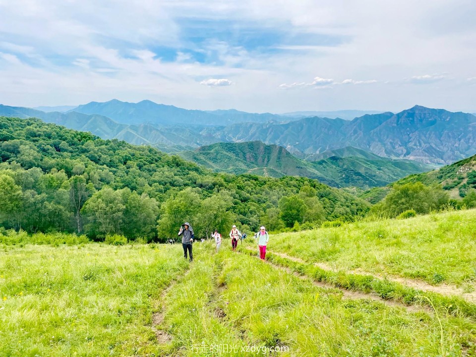 mmexport1688271510062_edit_651766107331275