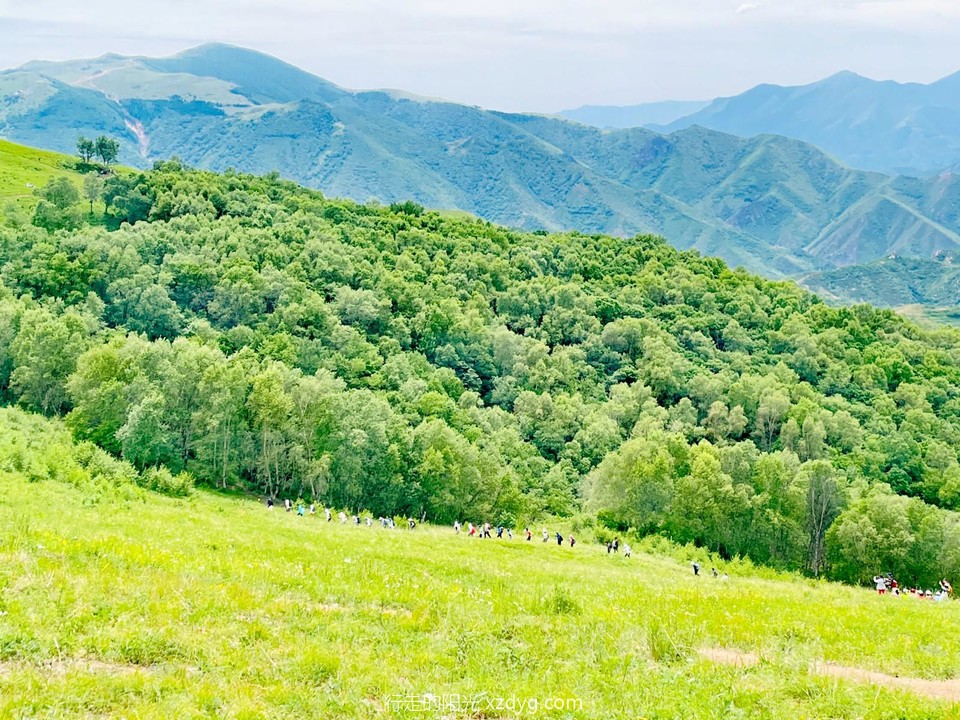 mmexport1688271441013_edit_651774429984920