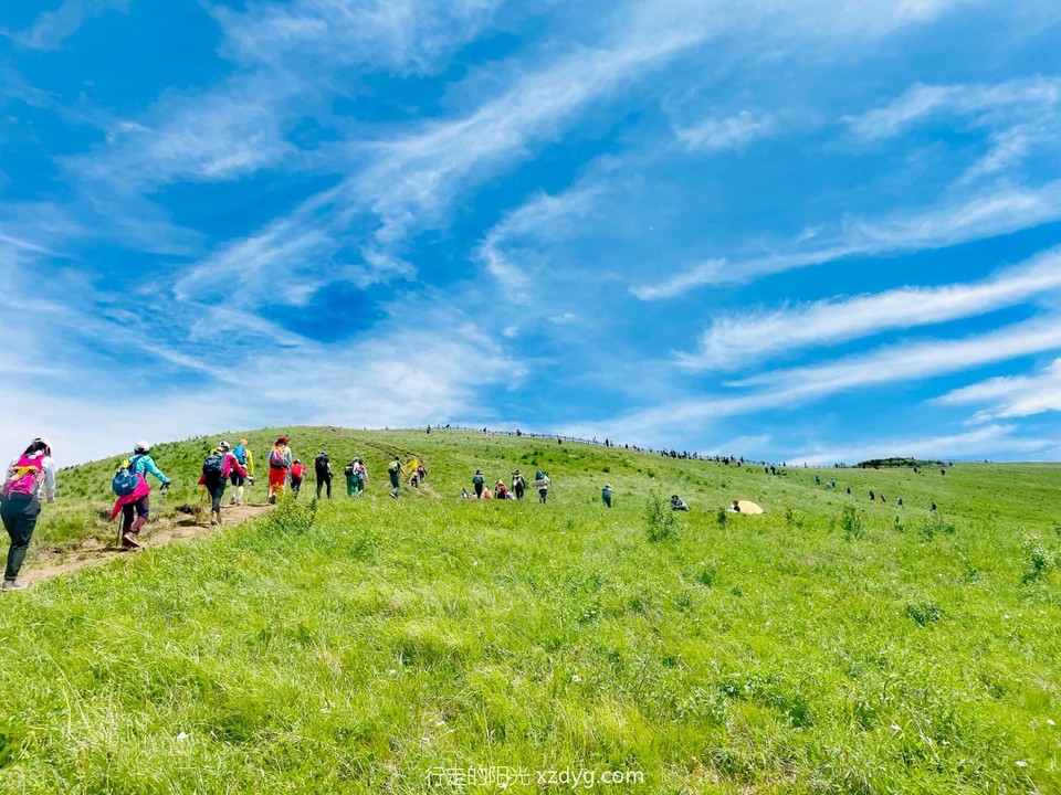 mmexport1688271385027_edit_651789967278147