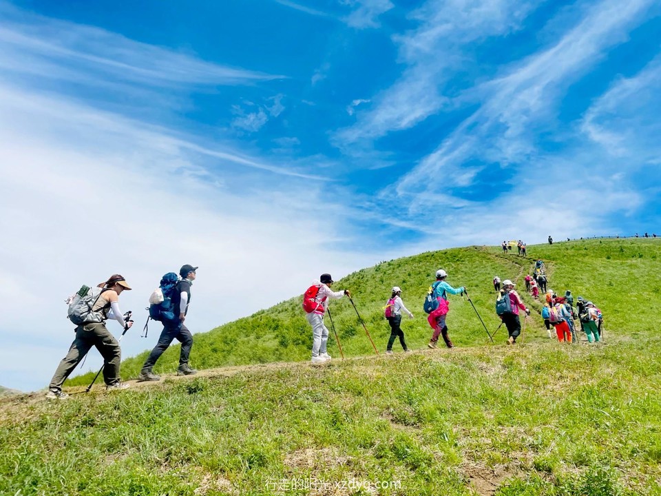 mmexport1688271371901_edit_651798665580229