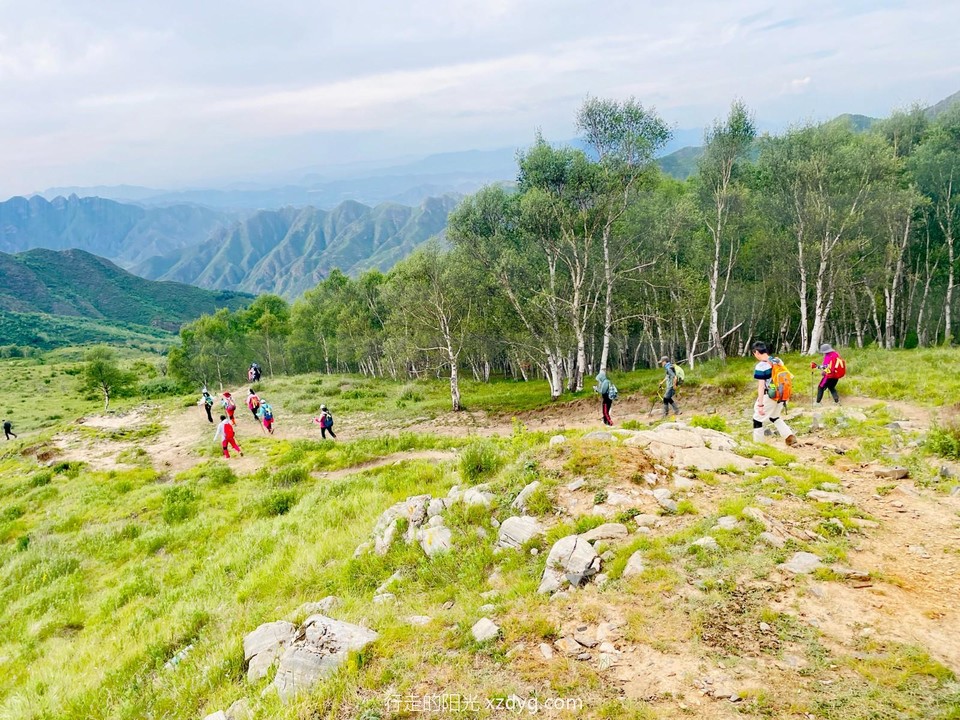 mmexport1688271327440_edit_651810715173456