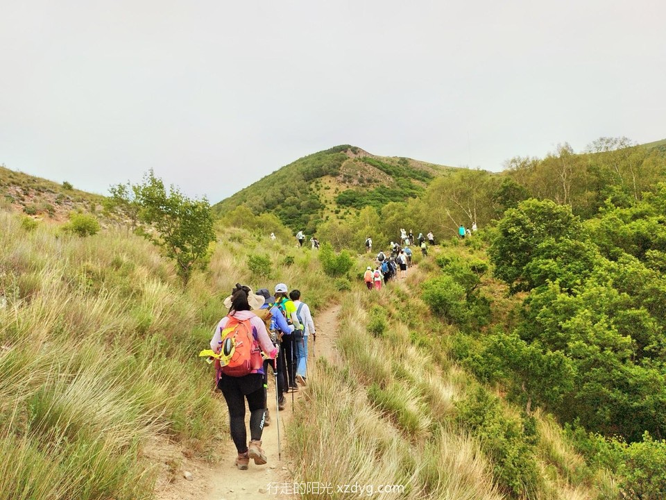 mmexport1688271162399_edit_651844581039597