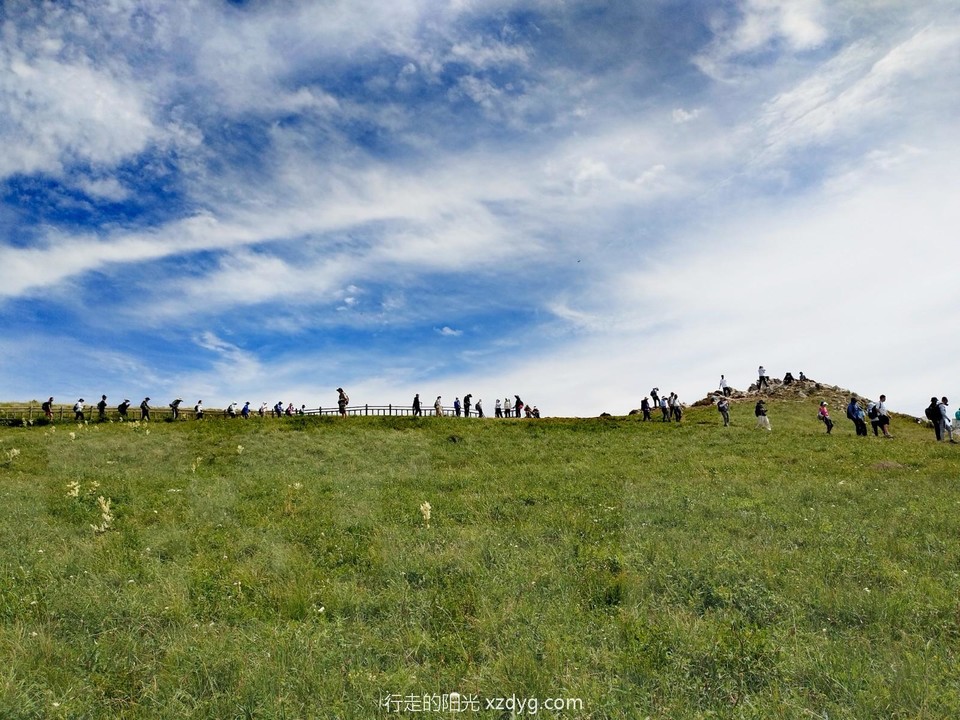 mmexport1688271102475_edit_651891612529173