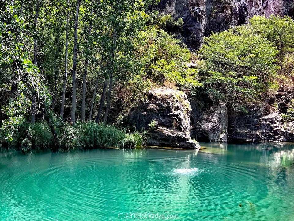 mmexport1688291708442_edit_670595144756527