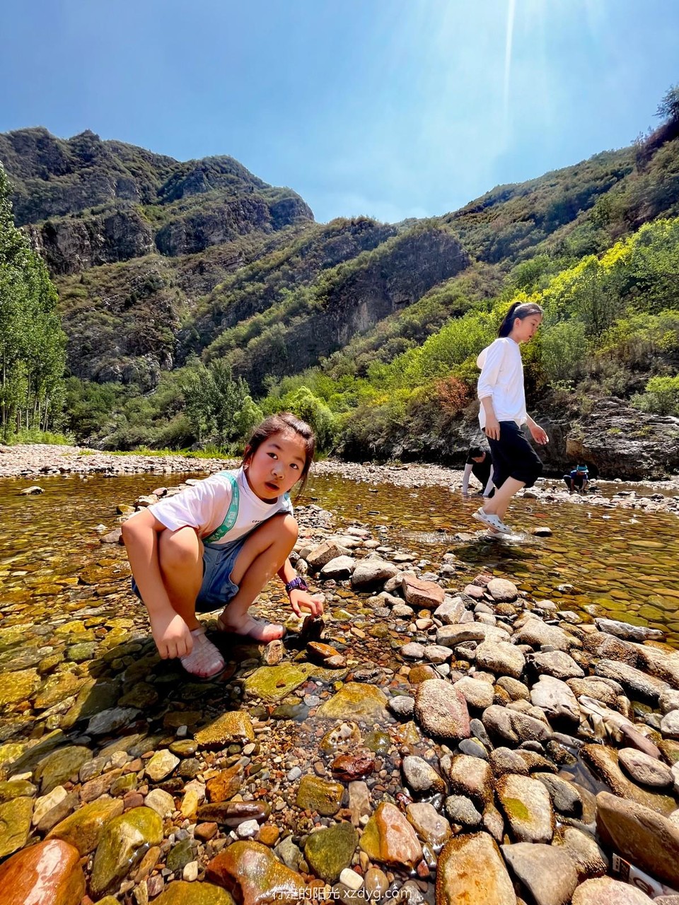 mmexport1688291786280_edit_670645532900270