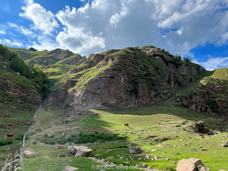 mmexport1688864125765_edit_962658000234358