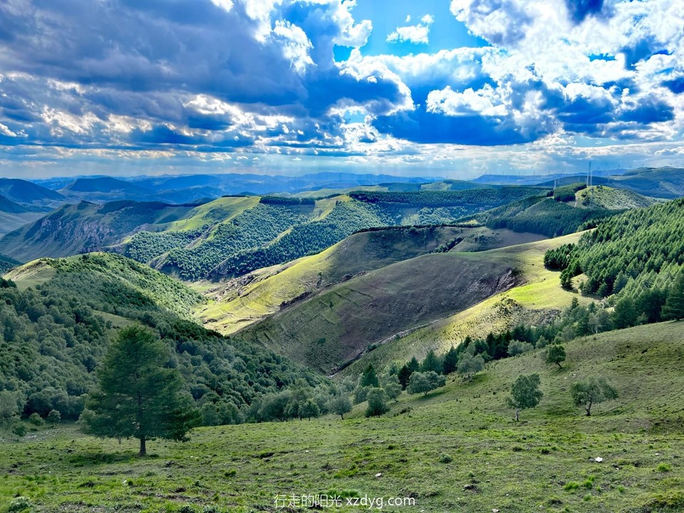 mmexport1688864226914_edit_962600350230721