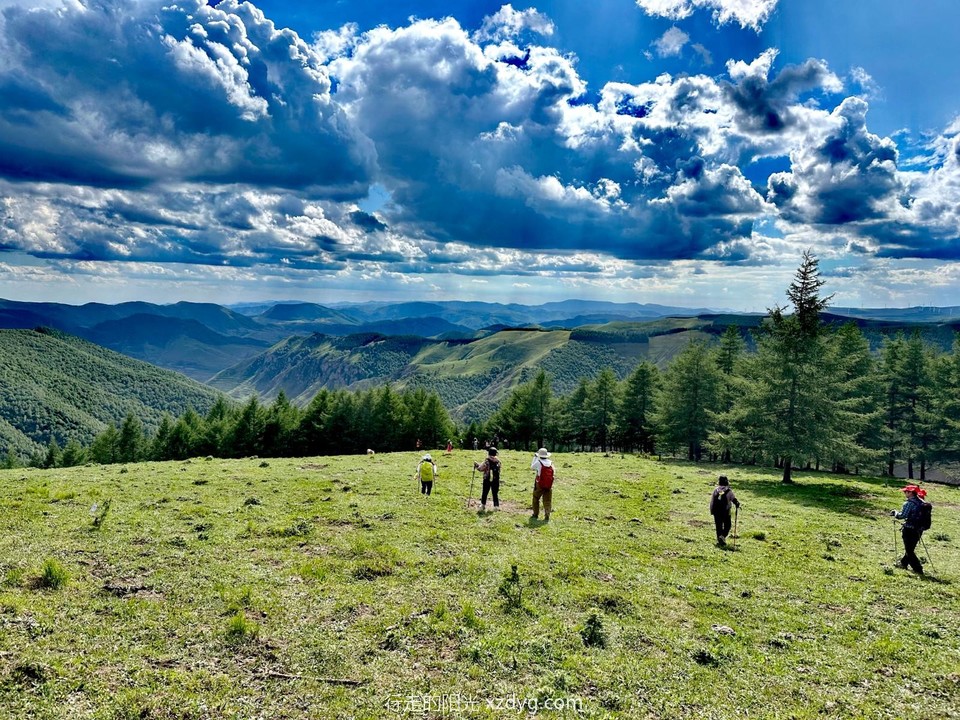 mmexport1688864308445_edit_962578704979162