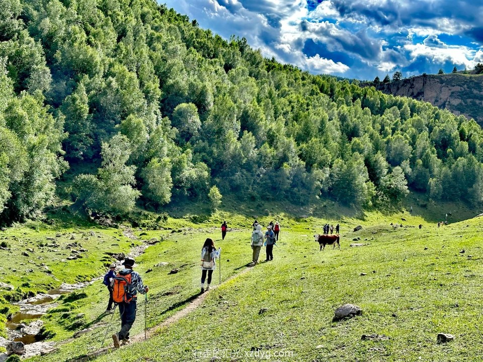 mmexport1688864371683_edit_962518679288546