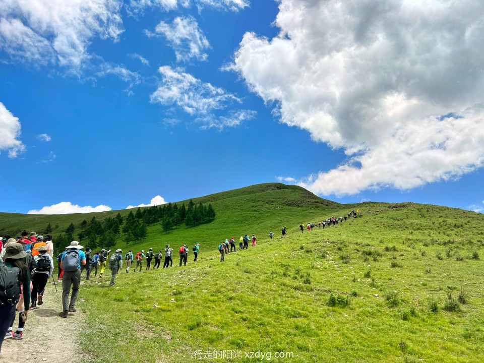 mmexport1688864450790_edit_962468653596366