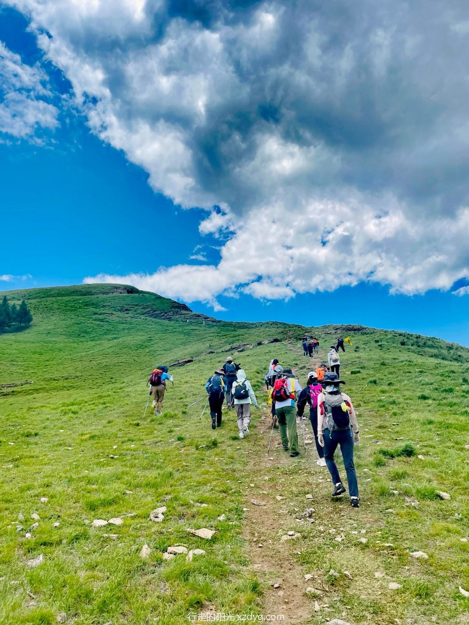 mmexport1689068096101_edit_1056826766961135