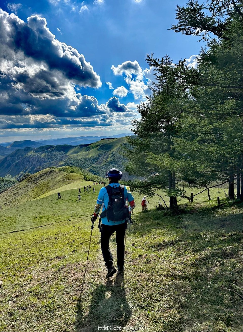 mmexport1689068232075_edit_1056809849691867