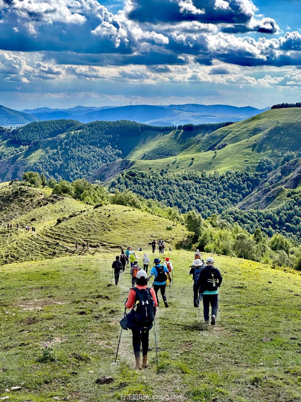 mmexport1689068343525_edit_1056780008166871