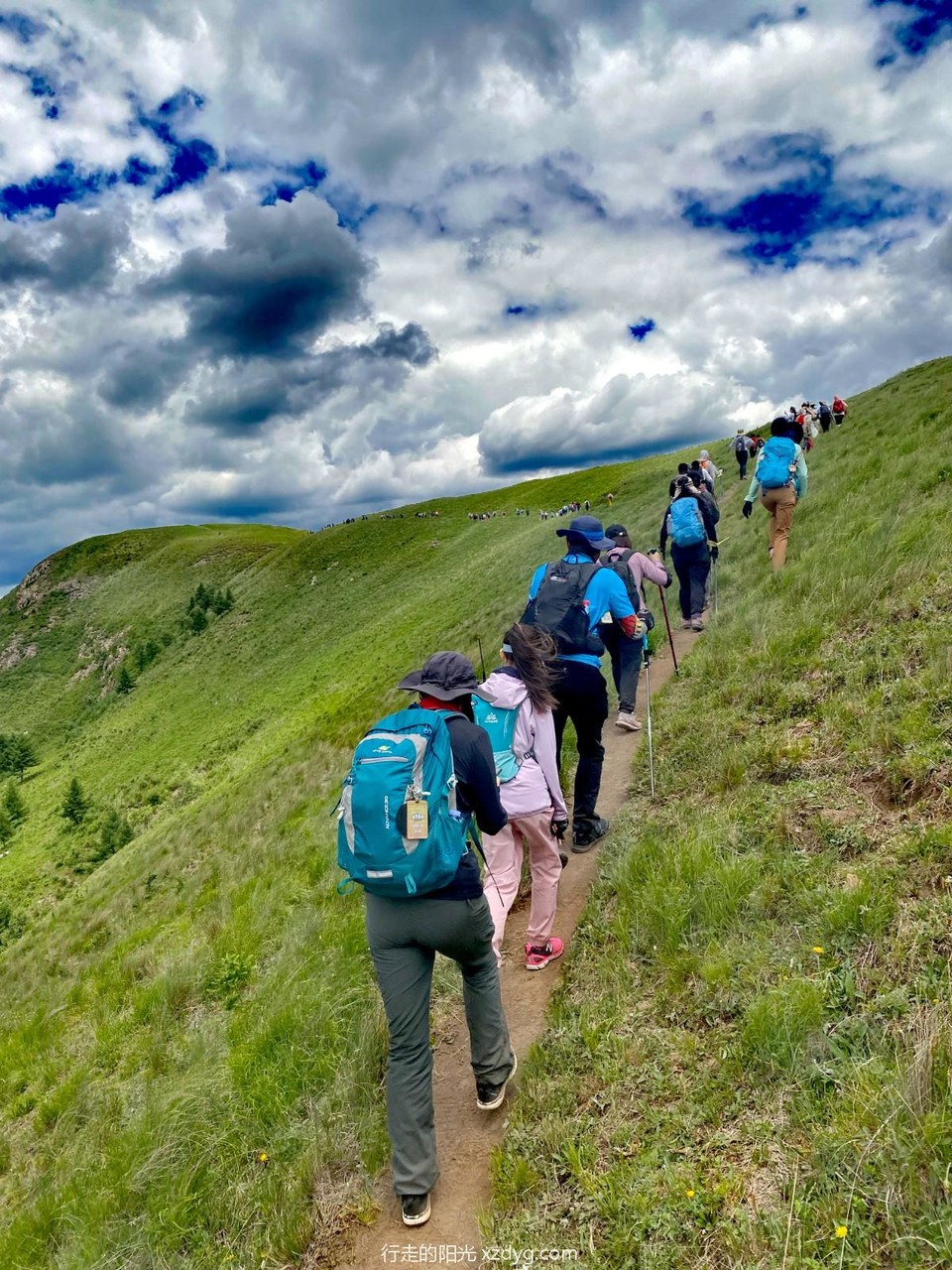 mmexport1689068442196_edit_1056737713685628