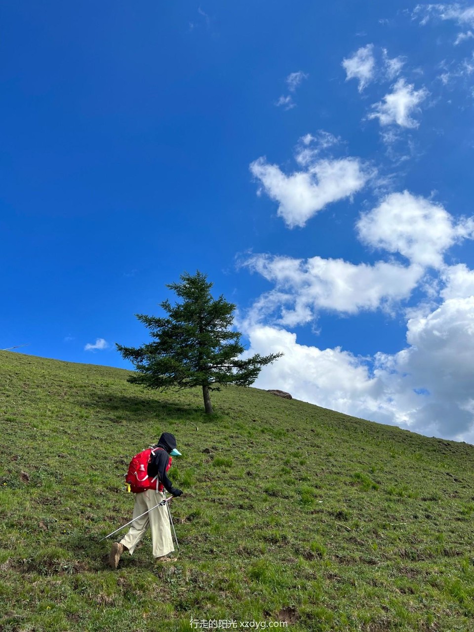 mmexport1689068585250_edit_1056711042132507