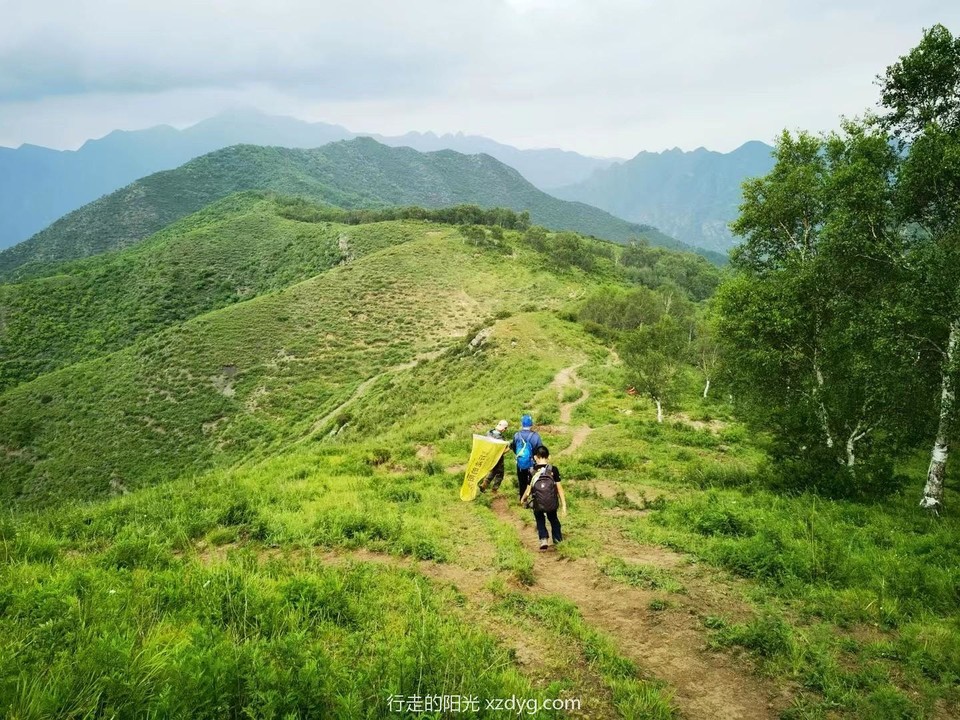 mmexport1690631534977_edit_68869861169177