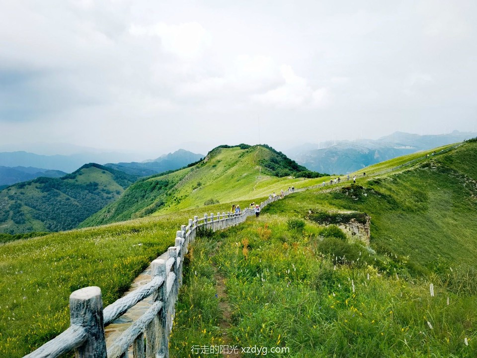 mmexport1690633913648_edit_68697524912433