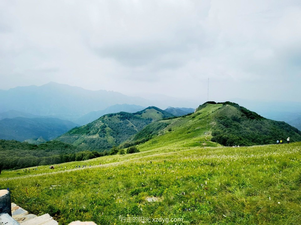 mmexport1690633936600_edit_68687019325455