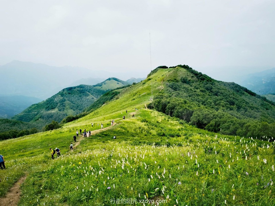 mmexport1690633945210_edit_68678115374935