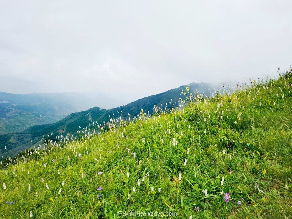 mmexport1690633957796_edit_68669406984312