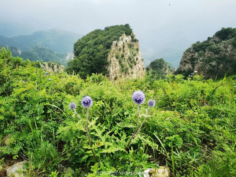 mmexport1690631524589