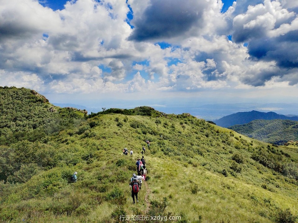 mmexport1691839126291_edit_693404395926485